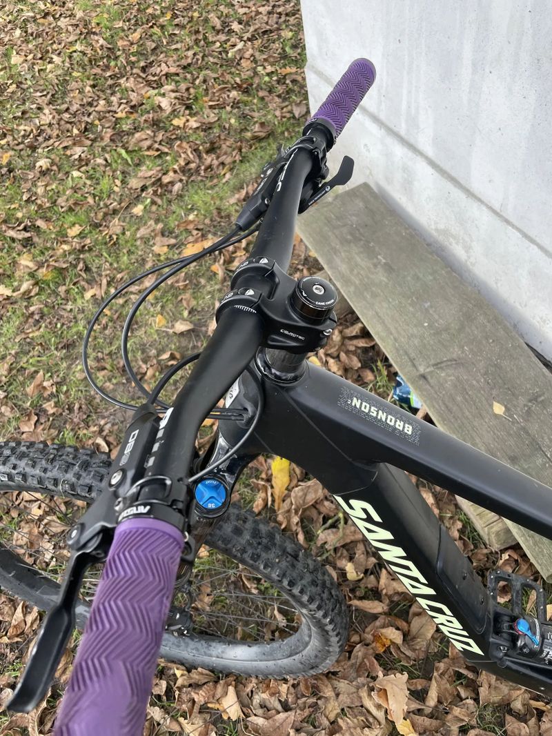 Santa Cruz Bronson mullet