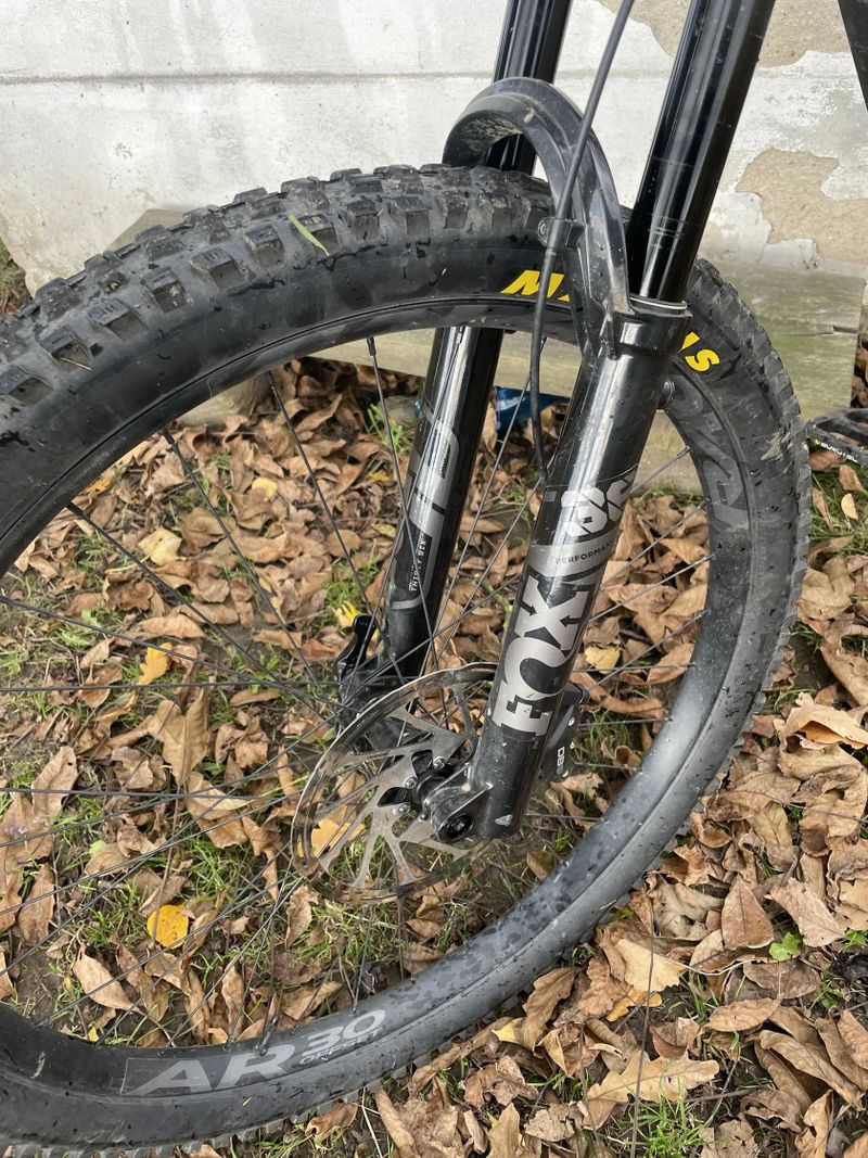 Santa Cruz Bronson mullet