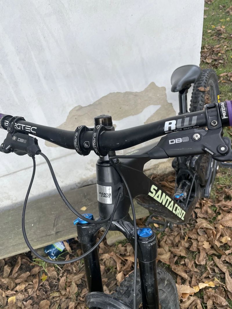 Santa Cruz Bronson mullet