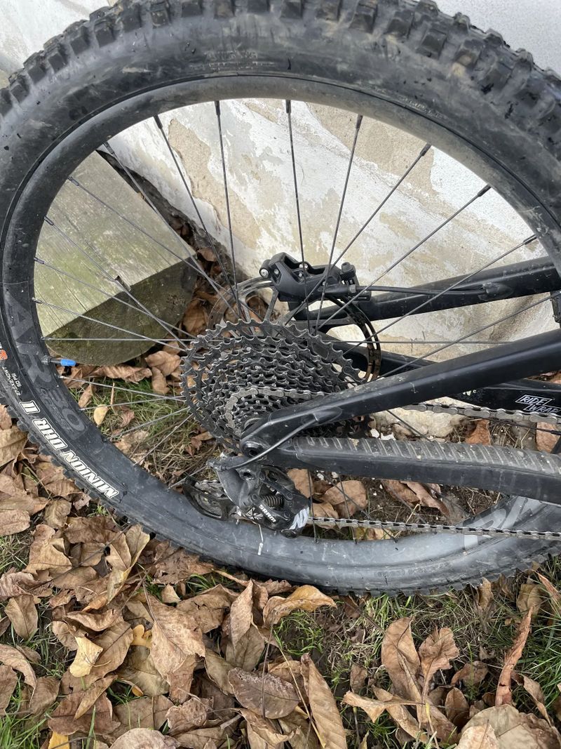 Santa Cruz Bronson mullet