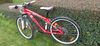 Specialized Hotrock