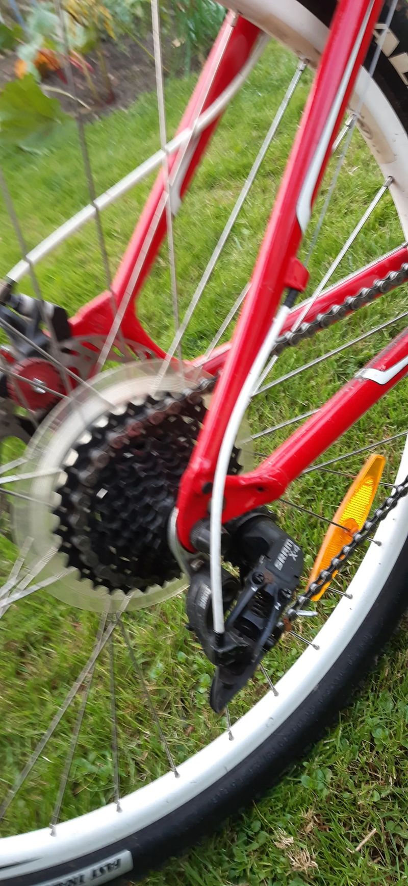 Specialized Hotrock