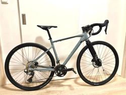 Gravel Carver Street 2024 (2x11 GRX...Vel.S)