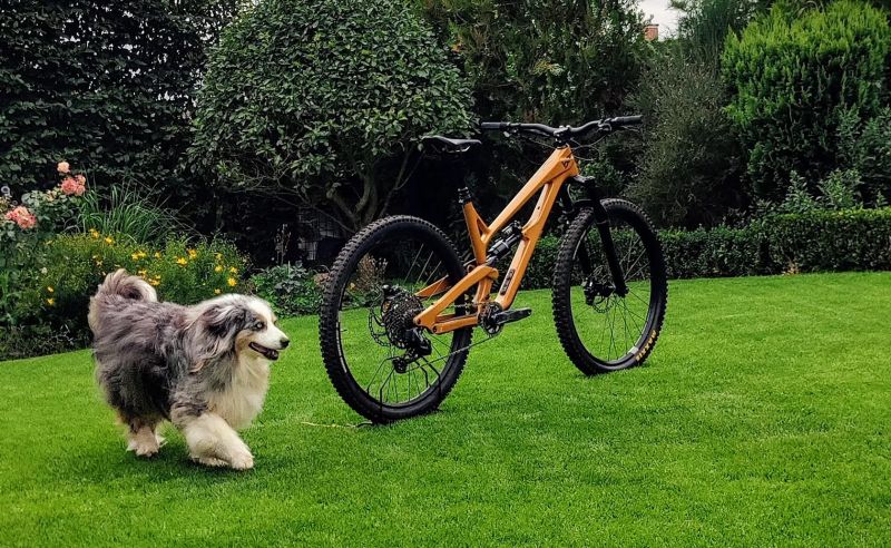 YT Industries Jeffsy Uncaged 8
