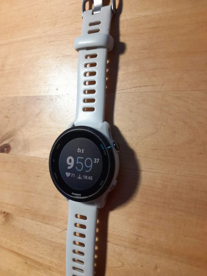 Garmin Forerunner 255s music