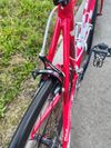 Fuji Roubaix