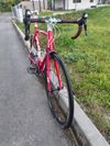 Fuji Roubaix