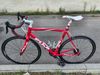 Fuji Roubaix