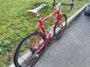 Fuji Roubaix