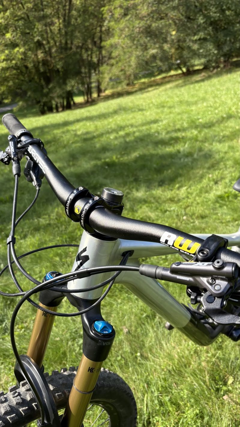 Specialized Stumpjumper EVO