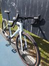 Specialized DIVERGE SPORT CARBON 2024
