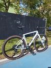 Specialized DIVERGE SPORT CARBON 2024