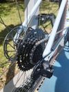 Specialized DIVERGE SPORT CARBON 2024