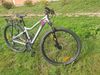 Specialized Jett