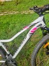 Specialized Jett