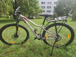 Specialized Jett