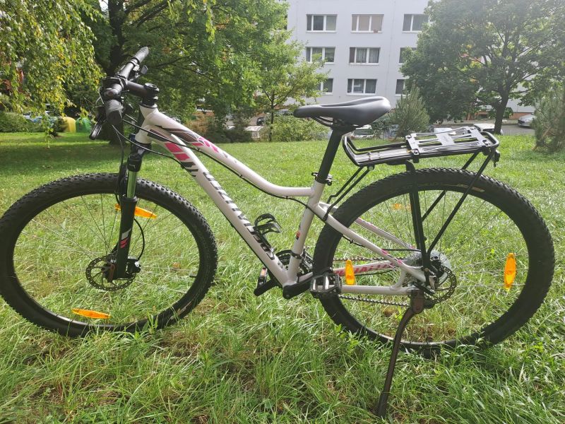 Specialized Jett