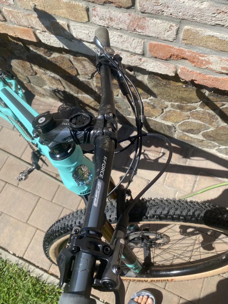 Bianchi Methanol 9.1 FS
