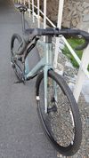 Superior X-Road karbon