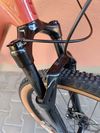 Focus RAVEN 8.8 custom