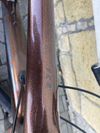 Giant Tcr