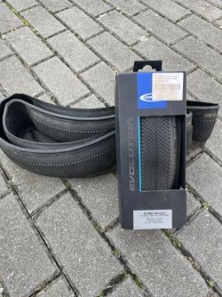 Schwalbe