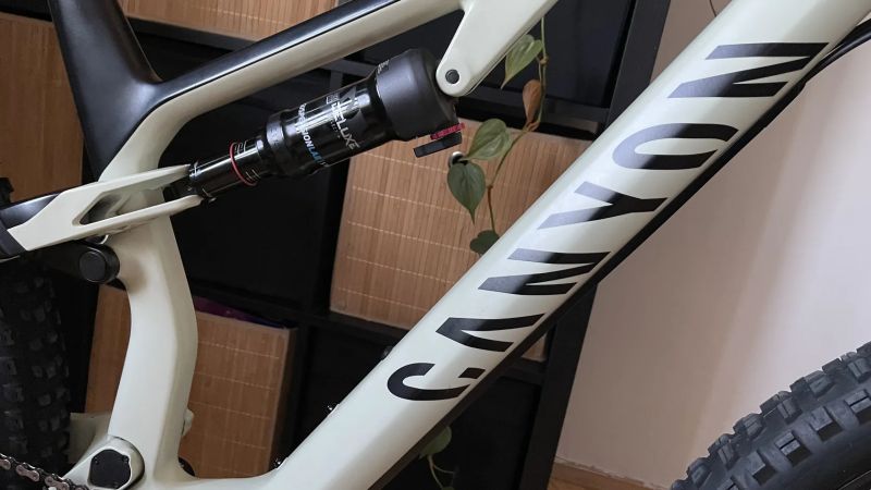 Canyon Neuron CF 8 Forest / carbon / GX 1x12 / teleskop