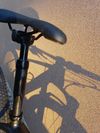 Specialized Stumpjumper World cup size L