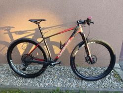 Specialized Stumpjumper World cup size L