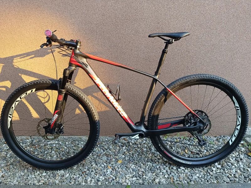 Specialized Stumpjumper World cup size L