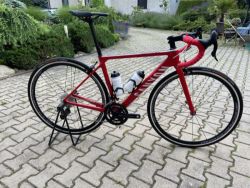 Canyon Ultimate CF SL - Campagnolo 11s