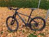 Bianchi Methanol SX
