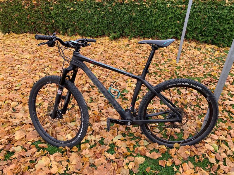 Bianchi Methanol SX