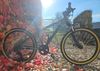 Rockrider ST 920 - sport trail