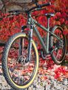 Rockrider ST 920 - sport trail