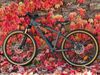 Rockrider ST 920 - sport trail