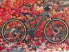 Rockrider ST 920 - sport trail