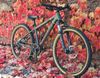 Rockrider ST 920 - sport trail