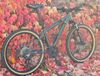 Rockrider ST 920 - sport trail