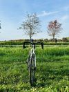 Specialized S-Works Venge Vias disc watt, ceramic, sram red