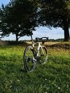 Specialized S-Works Venge Vias disc watt, ceramic, sram red