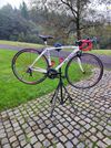 De Rosa Idol