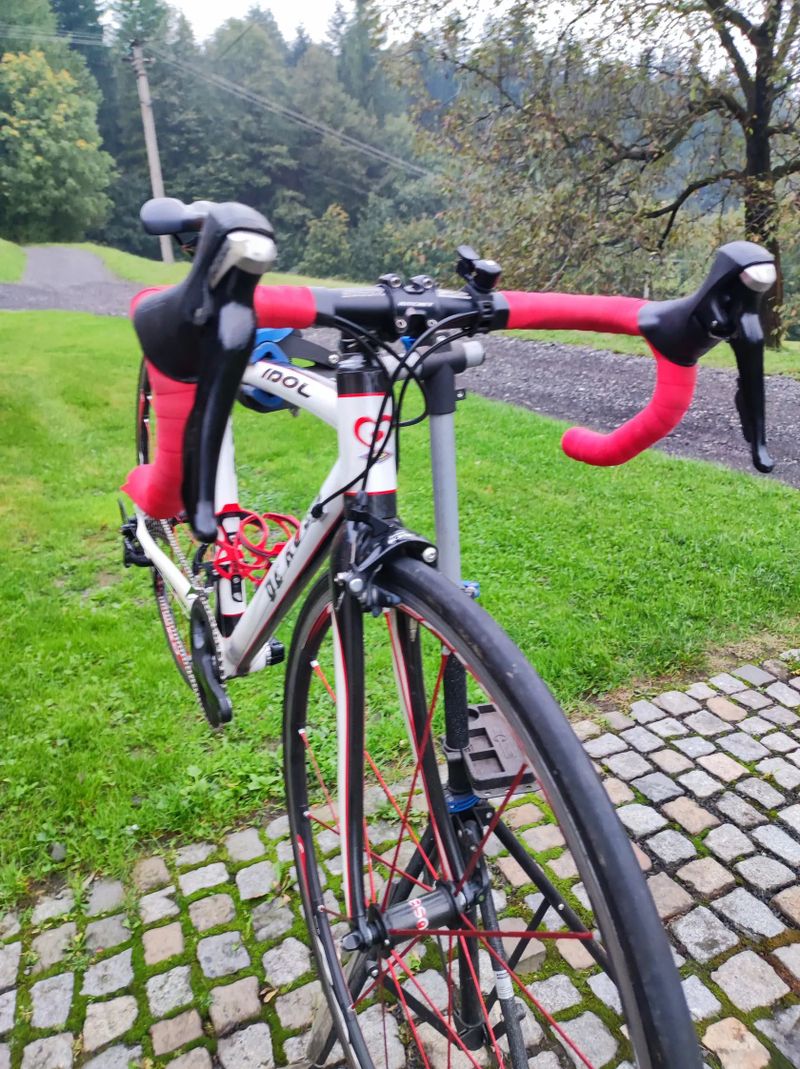 De Rosa Idol