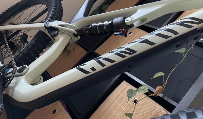 Canyon Neuron CF 8 Forest / carbon / Eagle GX 1x12 / teleskop