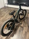 GIANT STP 20” FS