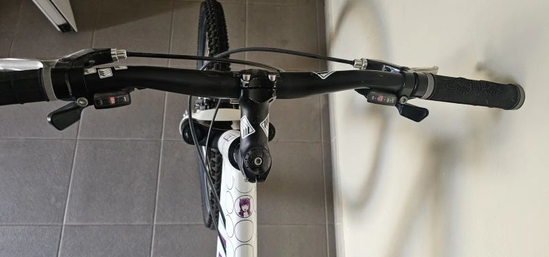 GT Avalnche 3.0