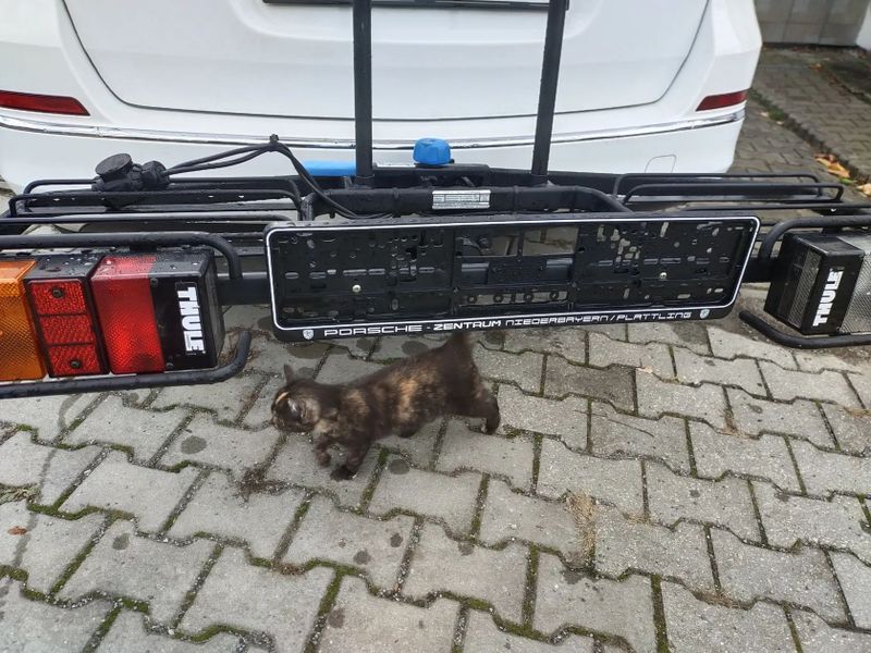 NOSIČ KOL THULE NA TAŽNÉ ZAŘÍZENÍ