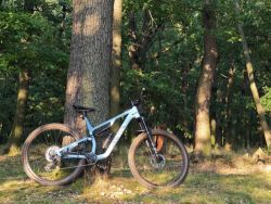 Canyon Neuron 6 AL