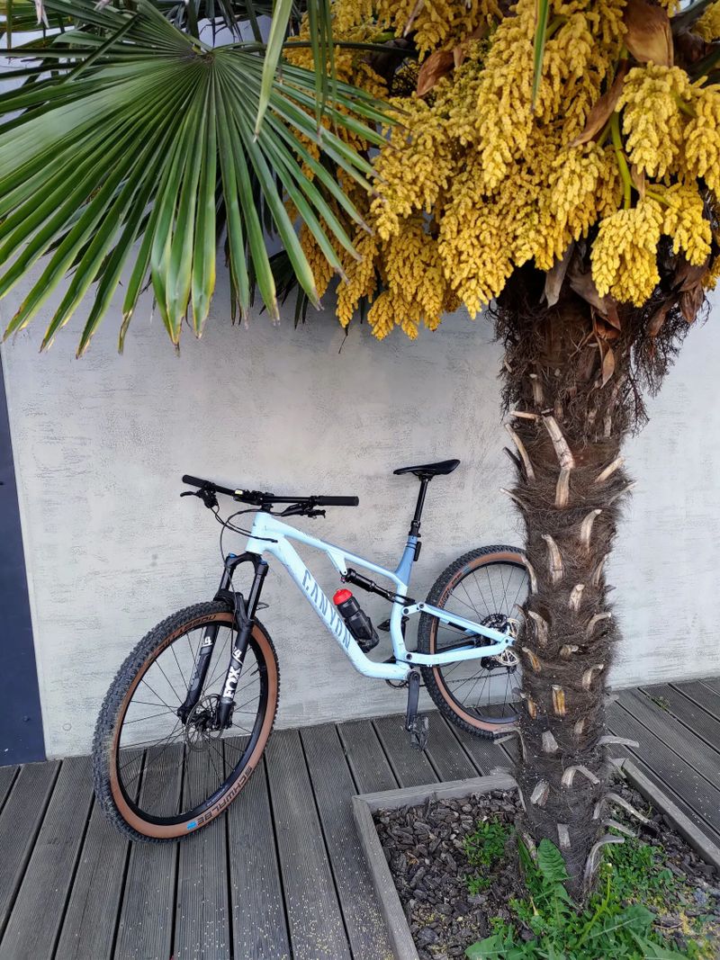 Canyon Neuron 6 AL