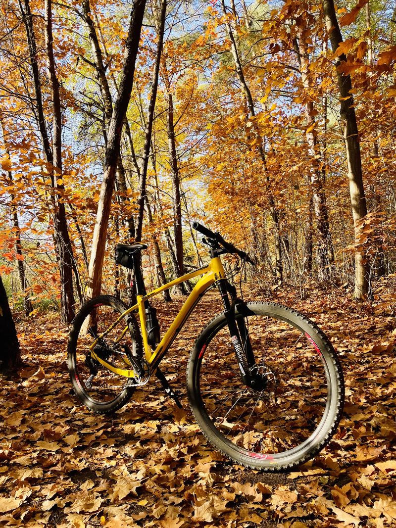 XC 500
